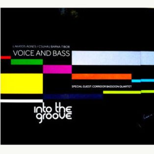  Lakatos, Agnes - Csuhaj Barna Tibor - Voice & Bass - Into The Groove